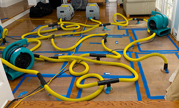 Professional Crawl Space Water Removal technician working in Davidsonville, MD